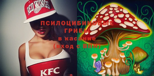 МДПВ Армянск