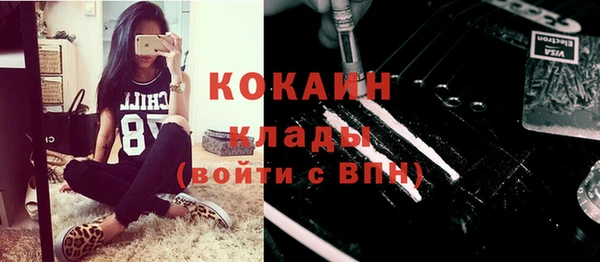 тгк Алексин