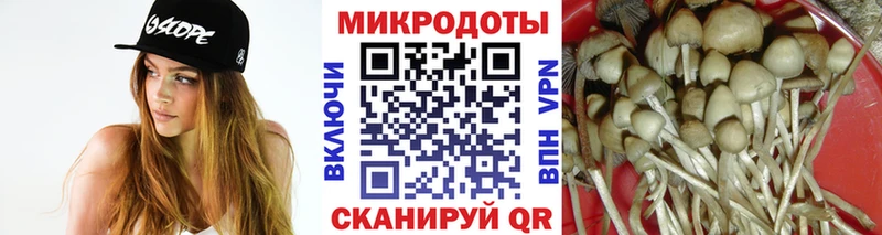 где купить наркотик  Первоуральск  Псилоцибиновые грибы Cubensis 